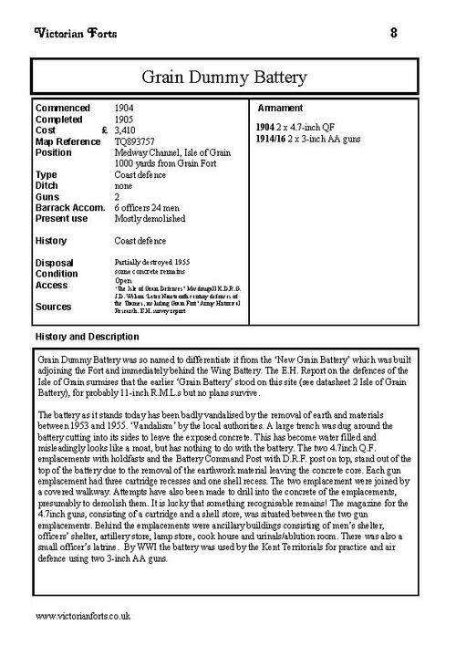 Grain Dummy Battery datasheet